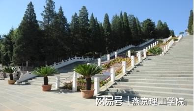 南宫28公益实践 燕理在行动2025年寒假社会实践志愿活动展播（第一期）(图2)