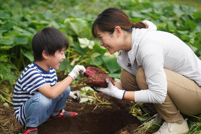 南宫NG·28(中国)官方网站学校不教但孩子一定要有的7种能力(图5)